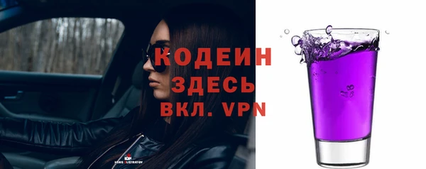 круглые Гусев