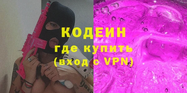 круглые Гусев
