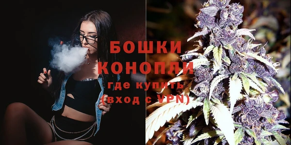 крисы Гусь-Хрустальный
