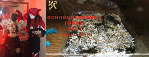 крисы Гусь-Хрустальный
