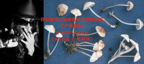 крисы Гусь-Хрустальный