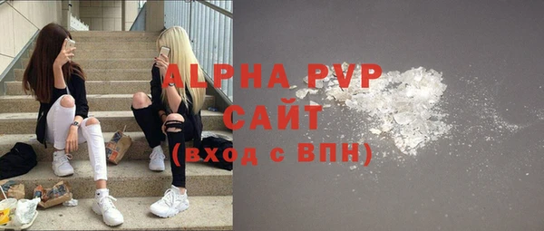 круглые Гусев