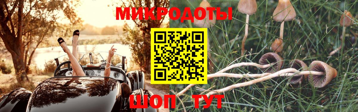 Галлюциногенные грибы MAGIC MUSHROOMS  Острогожск 