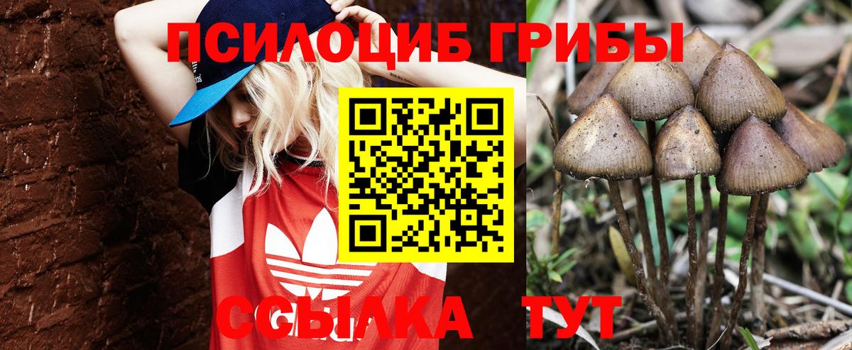 Острогожск  Галлюциногенные грибы MAGIC MUSHROOMS  Вход с VPN 