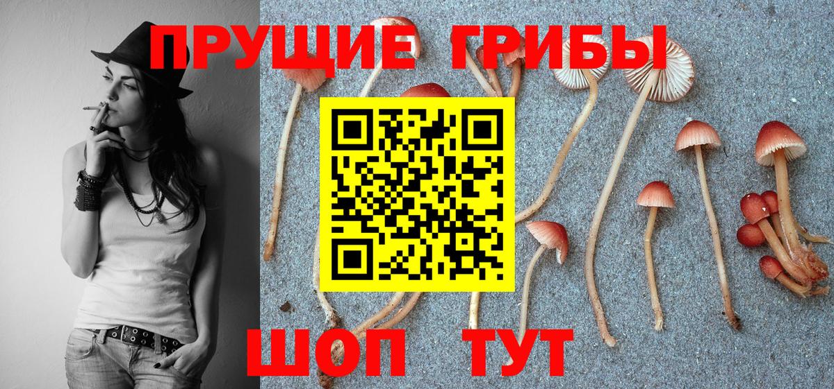 Гашиш Острогожск