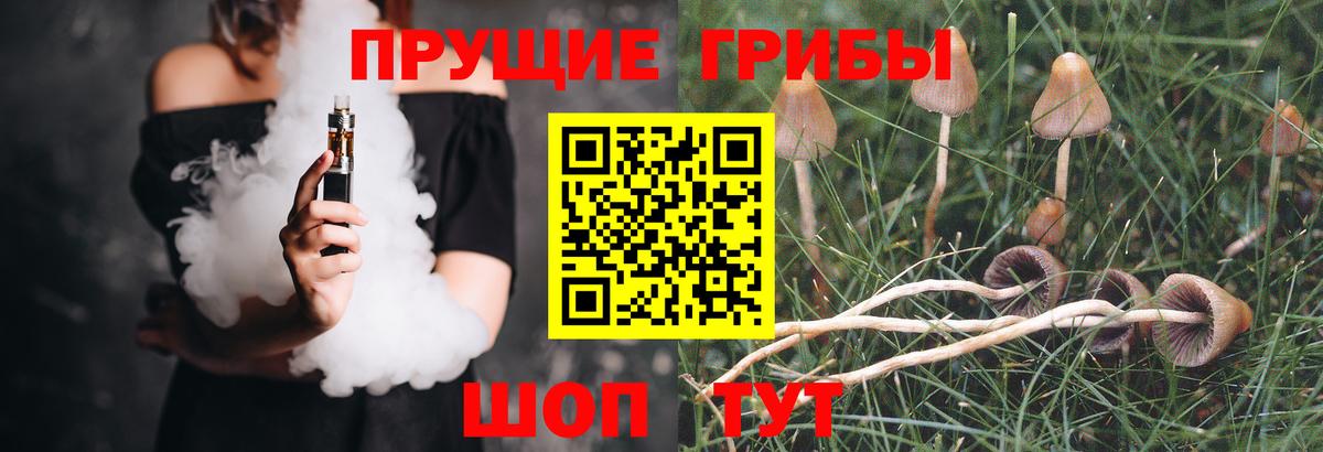 Галлюциногенные грибы Psilocybine cubensis Острогожск